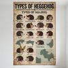 Vintage 'Types of Heggehog' Tin Sign, North African Hedgehog Species Illustration Poster, Old-Fashioned Scientific Natural Histo