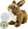 [VIAHART] Brown Rabbit Brigid Plush Toy Brown Medium Size (Approx. 25cm) Fluffy and Soothing Rabbit Toy Washable Plush Toy [Used]