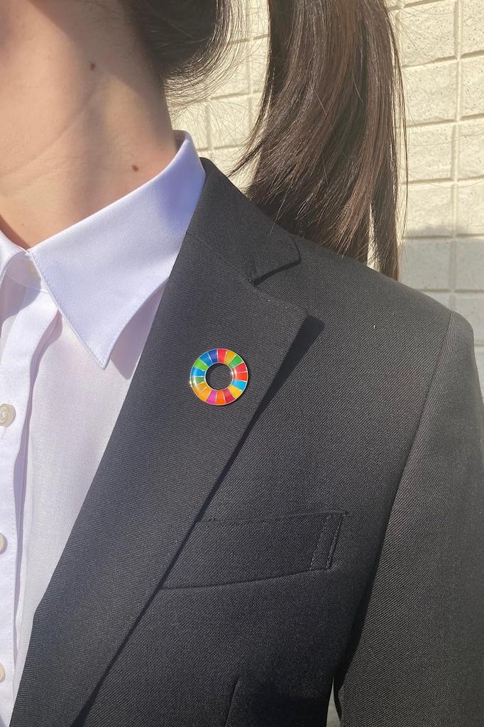 United Nations Official System SDGs Badge 25mm Silver Rounded Finish SDGs Badge Pin Badge SDGs Perfect for Hats and Bags Cute 3 Clasps Included