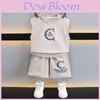 Trendy 2024 Summer Boys Clothing Set Stylish Sleeveless Vest And Shorts For Kids