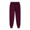 Mens Fleece Lined Casual Jogger Pants Winter 2026 Outdoor Fitness Streetwear Straight Fit