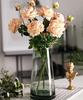 22cm Glass Vase, Transparent Glass Bottle, Nordic Style, Ideal for Arranging Flowers, Hydroponics, Ikebana, and Artificial Flowers, Stylish and