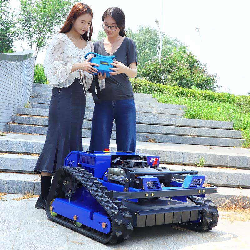 European Spot Garden Land Reclamation RC Lawn Mower Robot Lawn Mower Crawler Off Road Chassis, CE Certified Remote Weeding