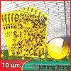 Double-sided glue trap for insects, water repellent, 10 pieces.