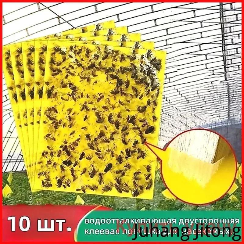 Double-sided glue trap for insects, water repellent, 10 pieces.