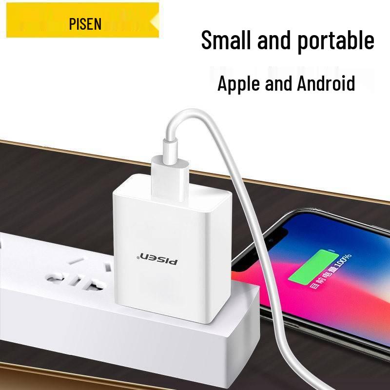 PISEN Dual-Port USB Charger, Fast Charging for Apple, Android, and Tablets.