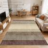 Abstract Design Rug Modern Living Room Decoration Bedroom Kitchen Soft Carpet Lounge NonSlip Easy Cleaning Floor Mat Large Size