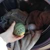 1stk vaskeball for vaskmaskin dekontaminering og rengjøring baller Gjenbrukbare anti opprulling klær rengjøringsverktøy