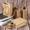 10pcs Brown Rectangular Kraft Paper Bags with Nylon Handles, Retail Shopping Merchandise Bags, Party Favors Package Gift Bags