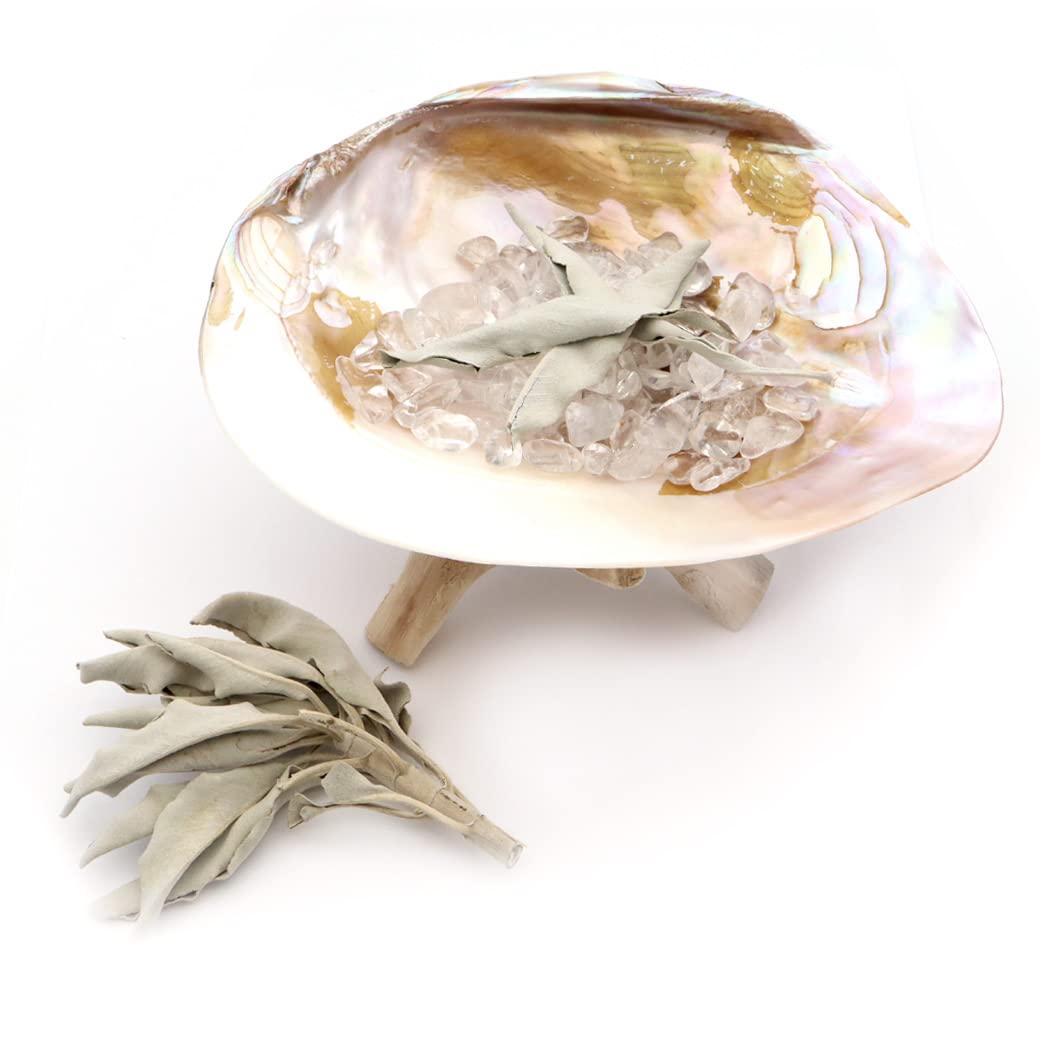 

GOLD STONE white sage set pearl shell crystal chips wooden stand 4pcs beginner kit aroma incense california grown sage organic herb