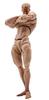 Scale Male Action Super Flexible and Strong Muscle Miniature Figure Body Doll with Interchangeable Hands and Accessory Collection 1/12 Figure, 6-inch