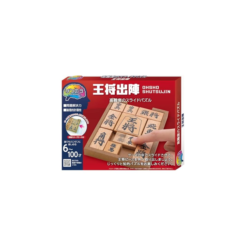 Hanayama Puzzle Exercise Katsunou Ousho Shutsujin Age 6+ Educational Toy