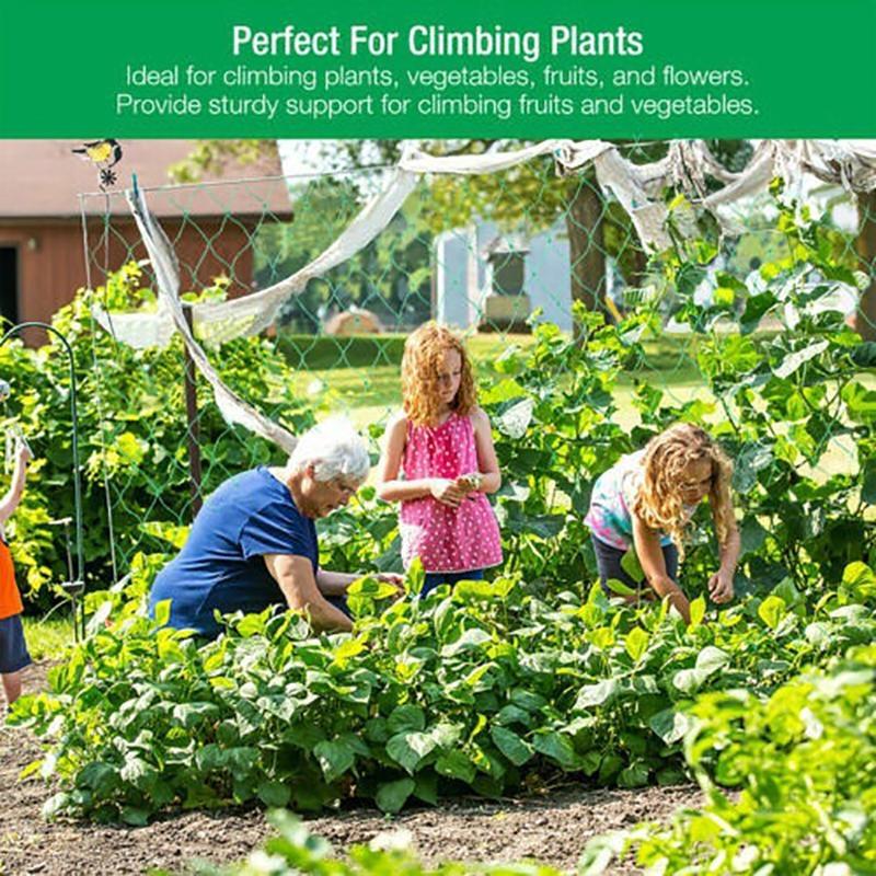 4 Sizes 27 Strands of  Horticultural Plant Climbing Vine Net Ipomoea Nil Climbing Flowers Climbing Rattan Ropes for Plants