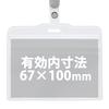 Lion Office Equipment N77K-50P Name Tags, 50 Piece