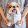 Decorative Dog Piggy Bank Large Capacity Zodiac Dog Ornaments Animal Saving Box  Kid Toy