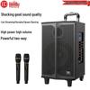 Huidu T-10L Professional Portable Live Speaker (CN Version)
