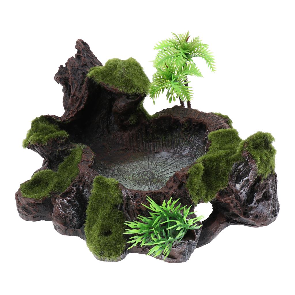 vivarium accessories
