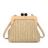 Fashionable and Trendy Straw-woven Small Square Bag Stylish and Versatile Personalized Single-shoulder Crossbody Bag