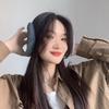 Basic Winter Earmuffs (Ash Blue)