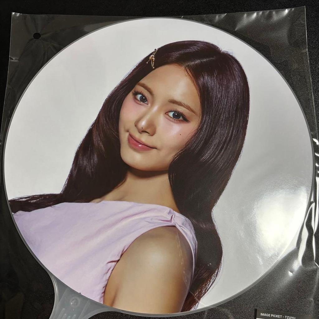 [USED] TWICE THIS IS FOR Seoul Concert Fan