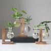 Terrarium Vasevase Dekoration Home Bonsai Blume Pflanze Vasen Vintage Blumentopf Transparent Holzrahmen Glas Tischplatte Pflanzen