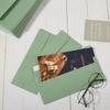 op 100 Pack Sage-Green #10 Business Envelopes Self Seal Standard Envelopes for Office Checks, Business, Letter Mailing Invoices, 4.13 x 9.49 Inches