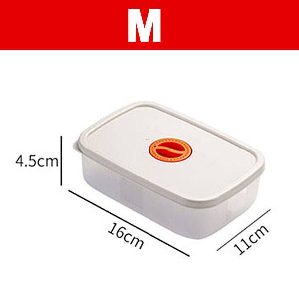 Food Storage Containers Microwaved Bento Box with Freshness Timer Lid Airtight Freezer Vegetable Fruit Storage Containers