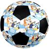 Bluey Theme Size 5 Soccer Ball, Suitable for Both Indoor and Outdoor Matches, a Gift Suitable for Everyone.