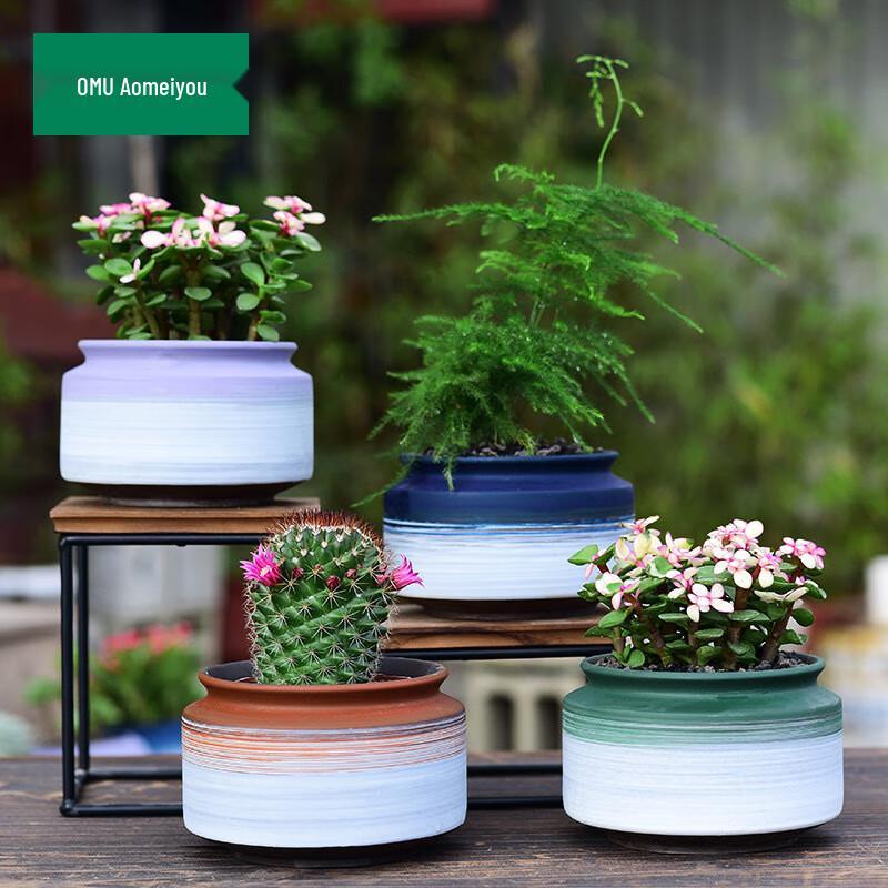 Aomeiyou Versatile Plant Pots