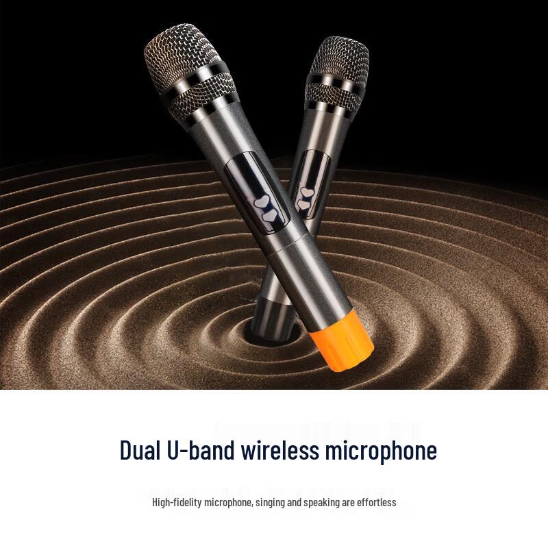 SAST 15-inch Portable Karaoke Trolley Speaker CN plug (adapter included)