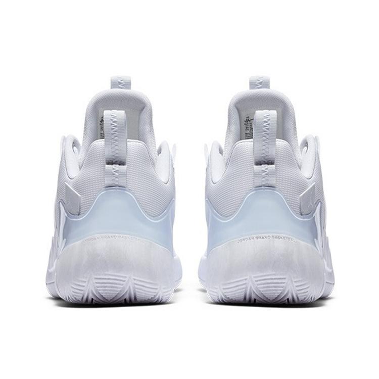 Air Jordan Zoom Zero Gravity Pf 'White Pure Platinum' AT4030-100