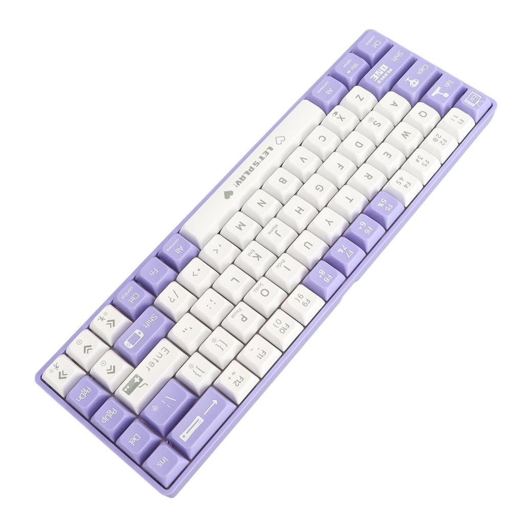 68 Keys Wired Mechanical Gaming Keyboard Hot Swappable Dynamic Backlighting Red Switch Mechanical Keyboard for Gaming