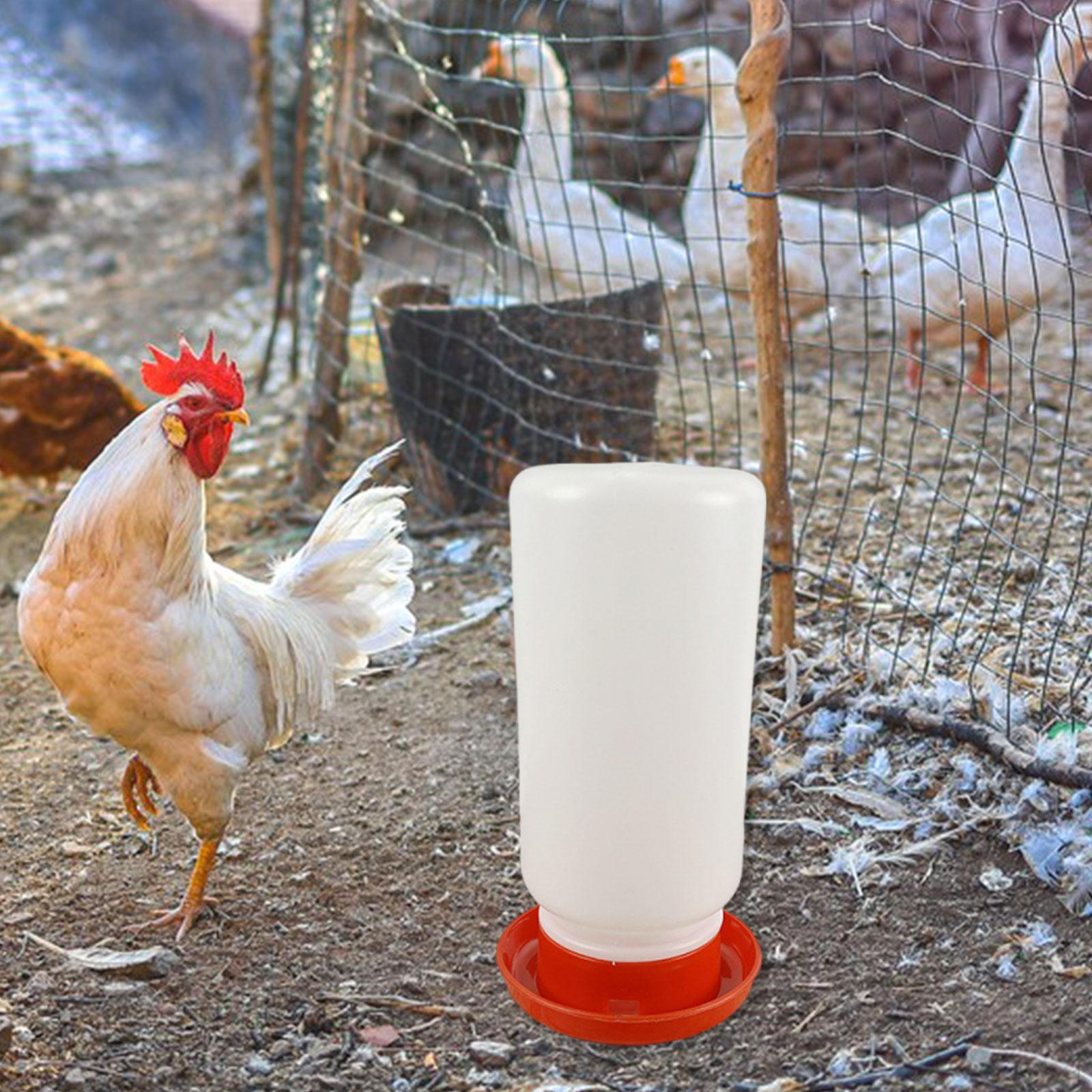 

Feeder Drinker Drinking Large Capacity Chick PP Material Smooth Surface Easy Maintenance 1000 ml