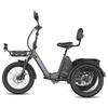 Triciclo Eléctrico de Carga FAFREES F20 Mate II para Personas Mayores, Batería Extraíble de 48V 25Ah, Cestas Delantera y Trasera
