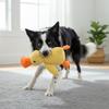 Dog Calming Plush Toy Bite Resist Sleeping Companion Duck for Dog Interactive Entertainment Activities
