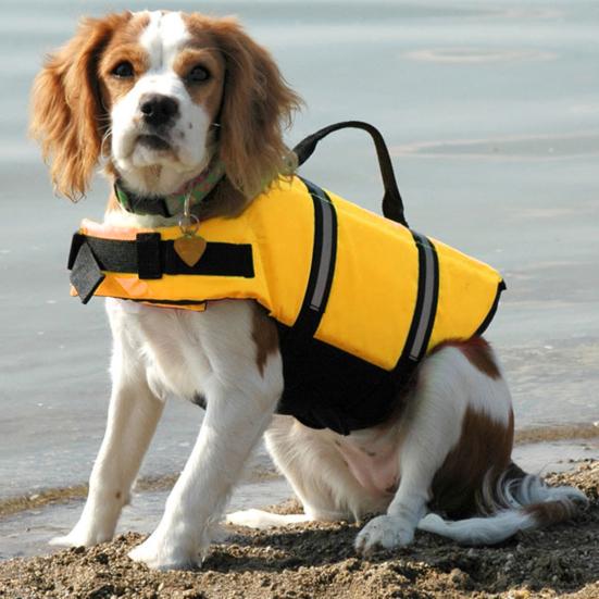 Dog Life Jacket Reflective Dog Flotation Safety Vest with Rescue Handle for Swimming Boating Surfing Adjustable Lifejacket Swimwear for Small Medium