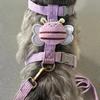 Walking Harness Leash Set for Cats Dogs - Cartoon Bee Adjustable Escape-Proof for Small Medium Pets