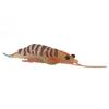 Marine Prawn Animal Model Early Learning Educational Vivid Simulation Home Decoration Sea Animal