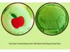 Adorable Green Apple Turtle Plush Backpack & Figurine