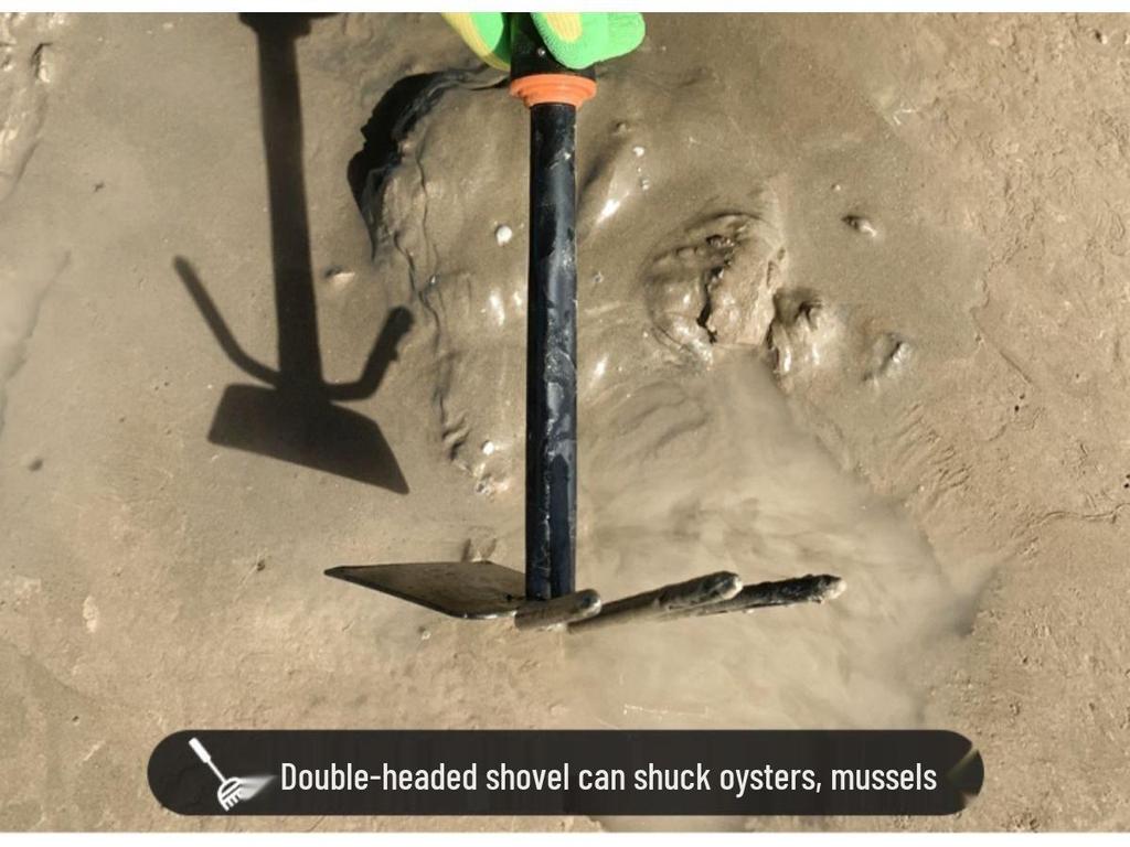 Tide-Chasing Beach Tool Set: Kids' Clam Diggers & Crab Catching Gear