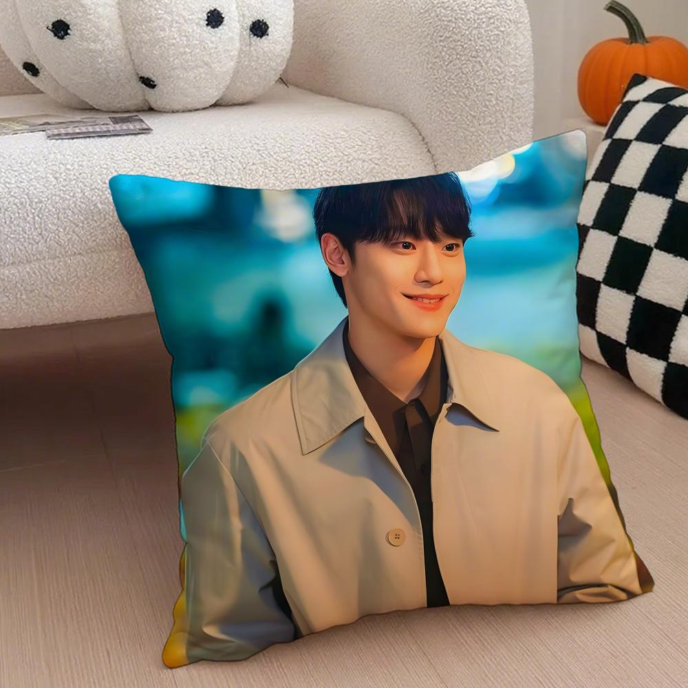 Korean Drama TThe Glory Cushion Cover Throw Pillow Cover Hidden Button Durable Polyester Chair Cushion