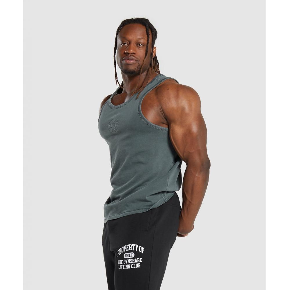Gymshark Premium Legacy Tank Cargo Teal A6a7b Tbqz