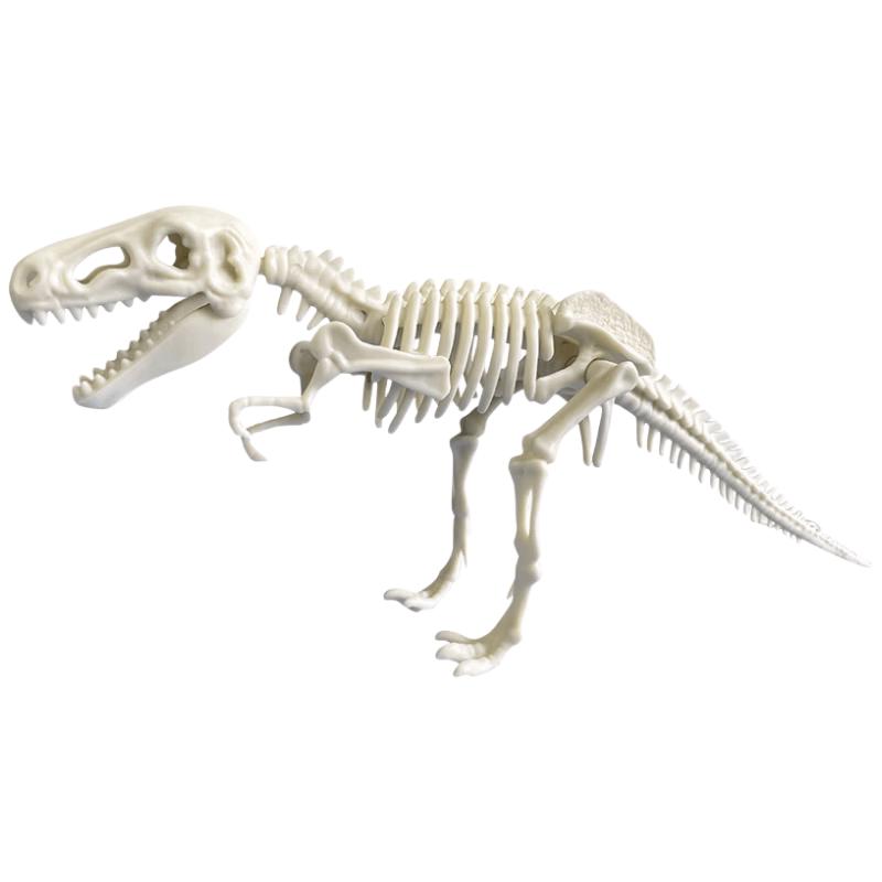 Kids Dinosaur Fossil Excavation Kit