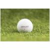 Golfballversion Kirkland Signature [24 Stück] 3-teilig 2.0