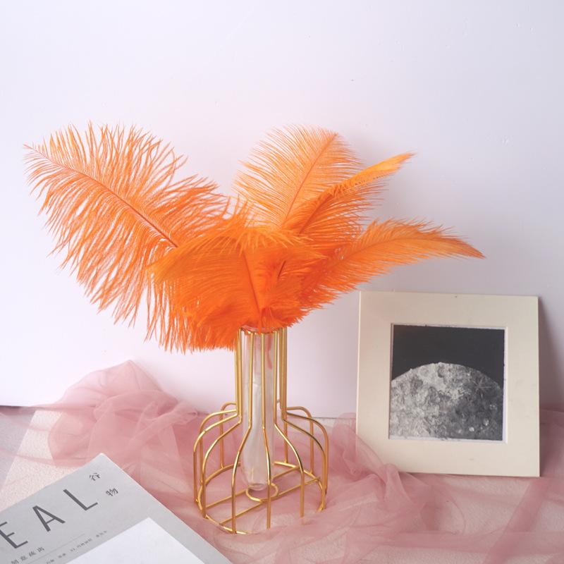 Color 20-25Cm Ostrich Hair Vase Ornament Wall Feather Decoration Hand Bouquet Flower Arrangement Diy Material