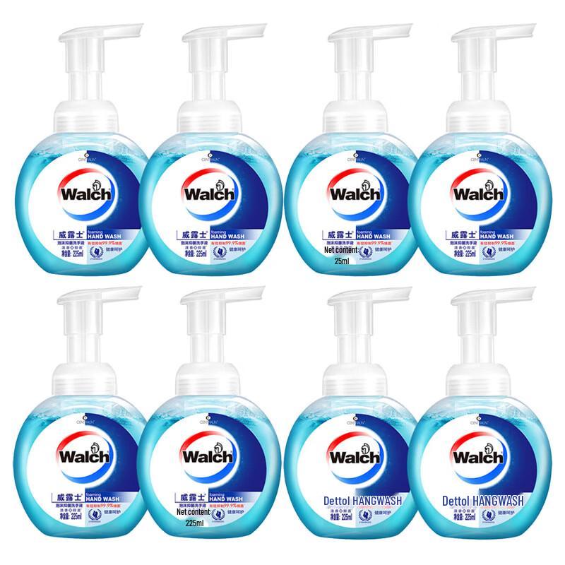 Walch Healthy Care Foaming Hand Sanitizer