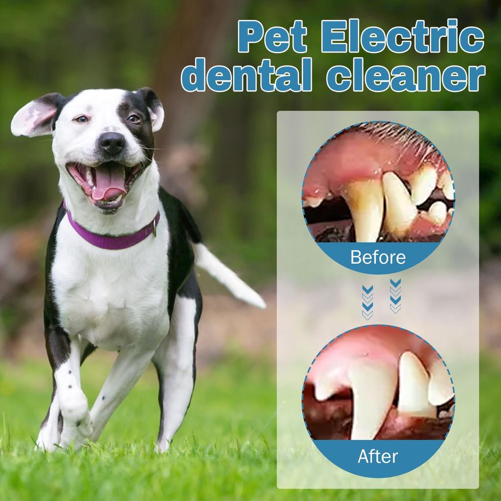 Plaque Remover For Teeth - Electric Toothbrush For Dogs Pet Brush Set, Effective Care Of Teeth, Pet Must Have, Help Dog Oral Health.
