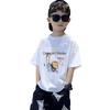 Boys' Trendy Korean Style Pure Cotton Short-Sleeve T-Shirt – Summer Clothing for Middle & Large Children