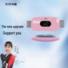 Waist Massager & Warm Palace Belt
