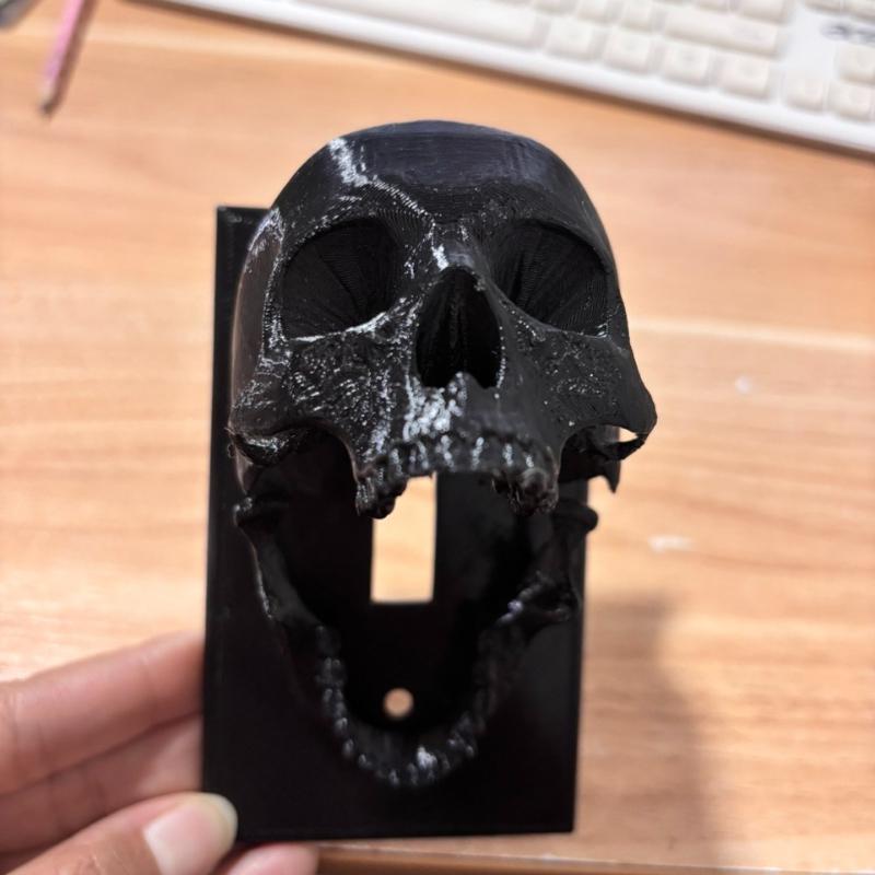 3D Printed Skull Light Switch Cover - Skull Wall Control Panel, Easy To Screw In Installation, Gothic and Halloween Decorations